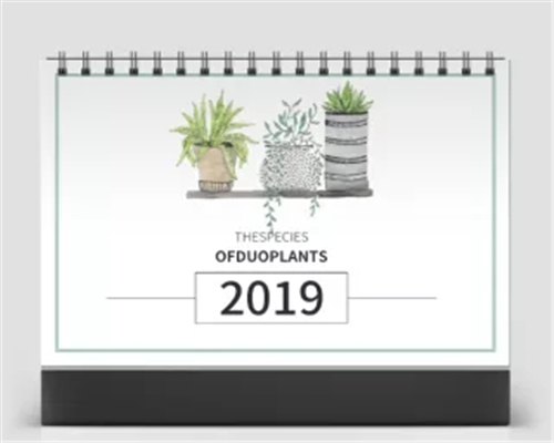 2019年創(chuàng)意簡約小清新桌面擺件 月歷臺(tái)歷 工作日歷 翻頁臺(tái)歷本