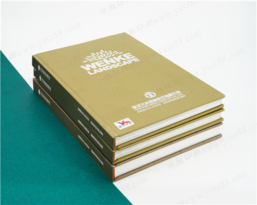企業(yè)精裝說明書/畫冊宣傳圖冊樣本目錄打印刷制作定做訂制